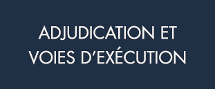 ADJUDICATION_VOIES-D’EXECUTION_Bleu