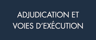 ADJUDICATION_VOIES-D’EXECUTION_Bleu